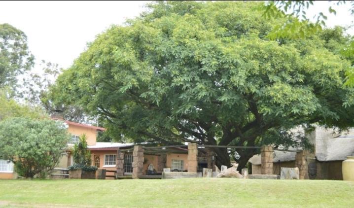 Anna Boeremeisie Guesthouse Benoni Quarto foto